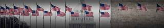 View of multiple American flags flying in the wind.