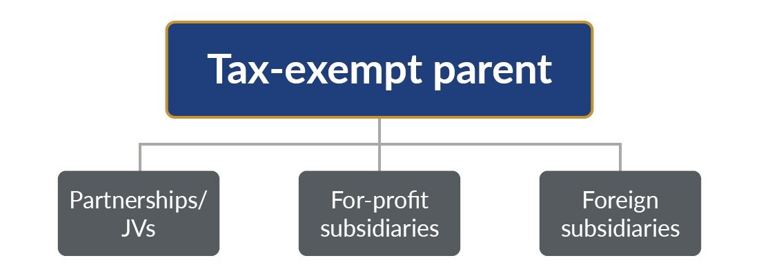 Graphic showcasing sections of the tax-exempt parent